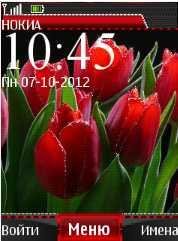 х2 тюльпаны