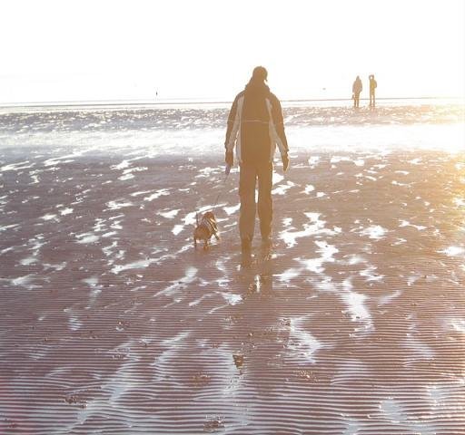 Mals - Dj Mals - Alarm