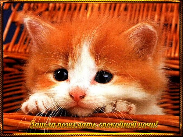 file_72267472