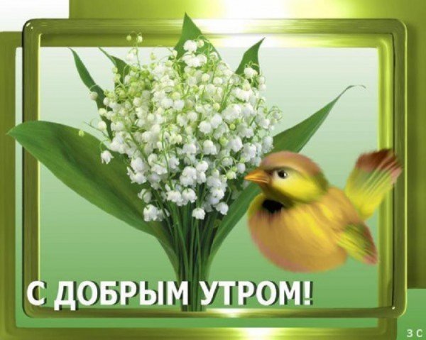 С добрым утром!