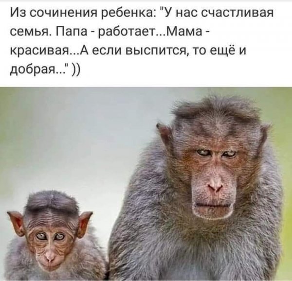 FB IMG 1777318264186