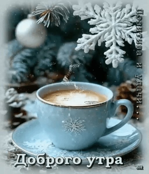 IMG 20260115 104543
