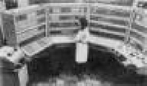 Техника сетевых атак