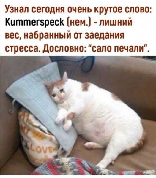 FB IMG 1777317914492