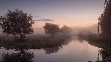 Успокаивающий Крикет Вечер - Calming Cricket Evening Chorus In Nature