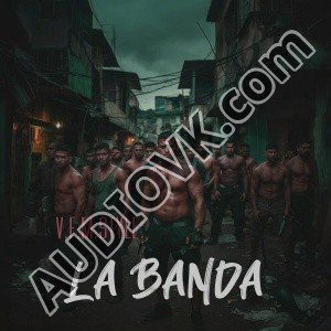 V.F.M.style - La Banda