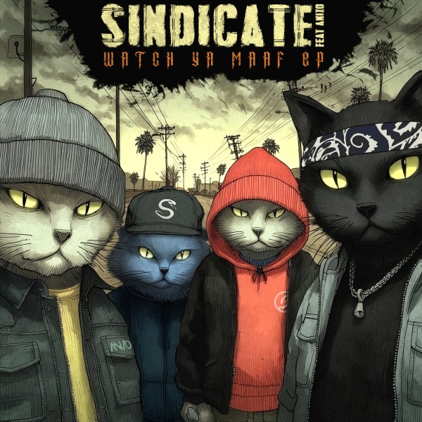 Sindicate, Anizo - Control (Original Mix)