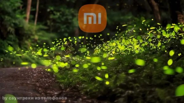 Avory - Будильник_Светлячкина_телефонах_Xiaomi