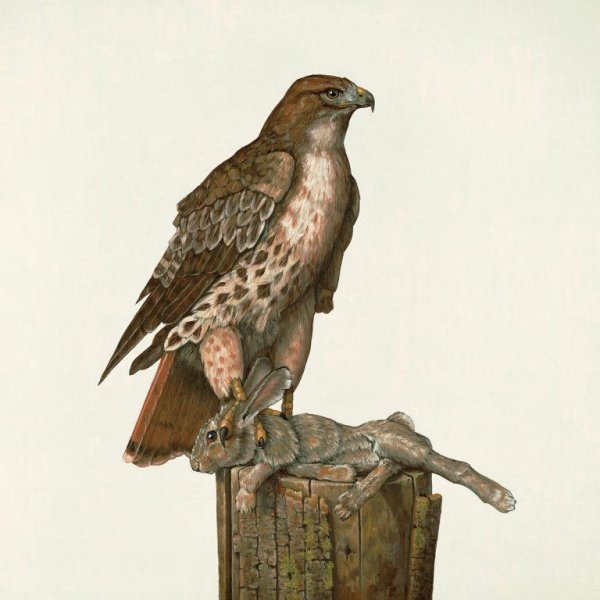 Federale - She's Headed for the Highway, I'm Bound for the Train