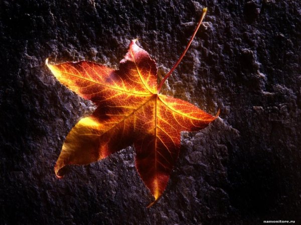 Алексей Глызин - Осений Романс