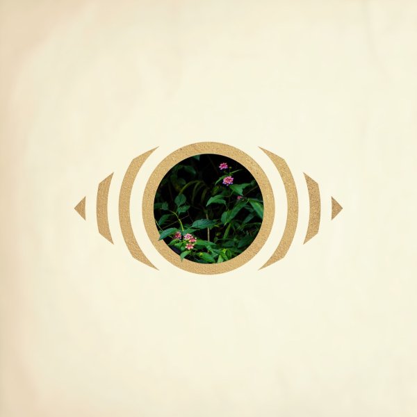 ((( O ))) - needyunow