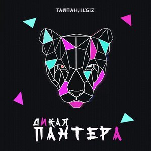 Тайпан, IL'GiZ - Дикая пантера