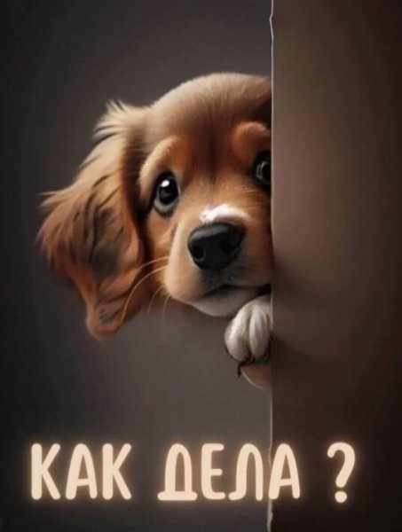 Цитата - Мудрость