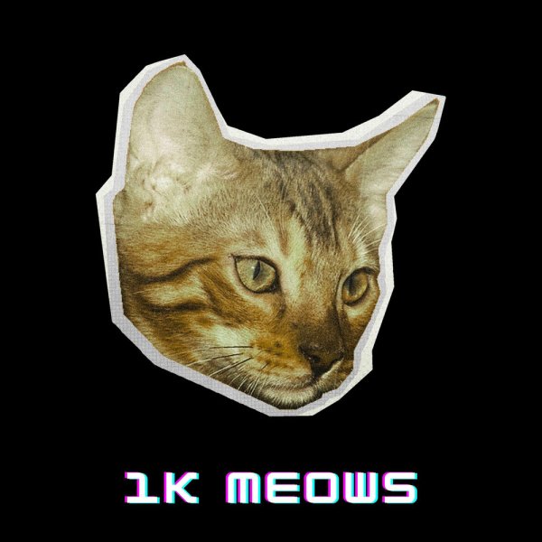 DaveerCode - 1K Meows