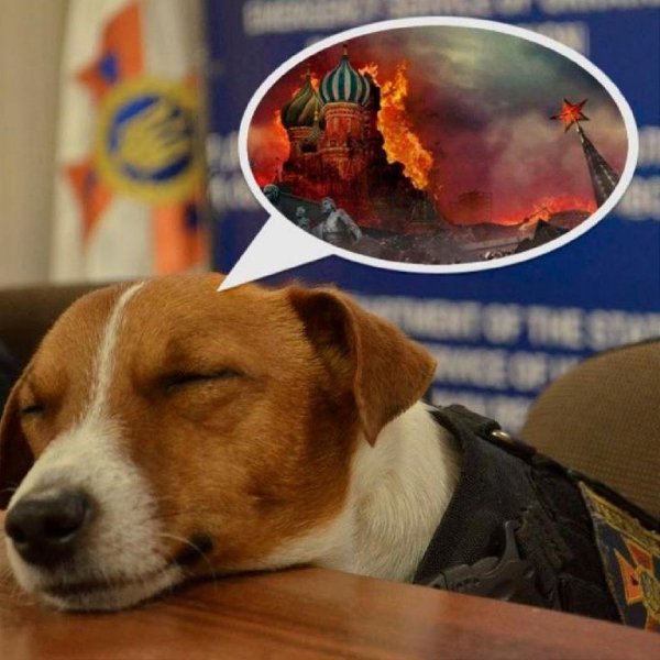 Леся Нікітюк &amp; Степан Гіга - Цей Сон