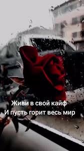 Лучшая музыка - Живи в свой кайф и пусть горит весь мир (Muzfy.net)