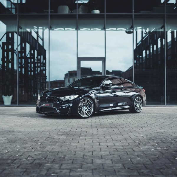 Lifeex - Fight (Original Mix)