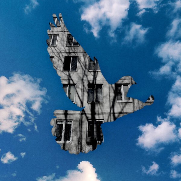 25/17 - Серый Голубь (Звуки Му Cover)