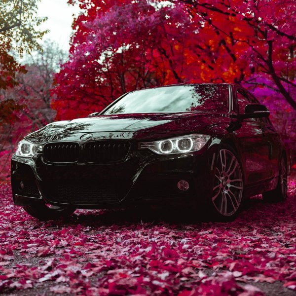 Lifeex - Lock My Aim (Original Mix)