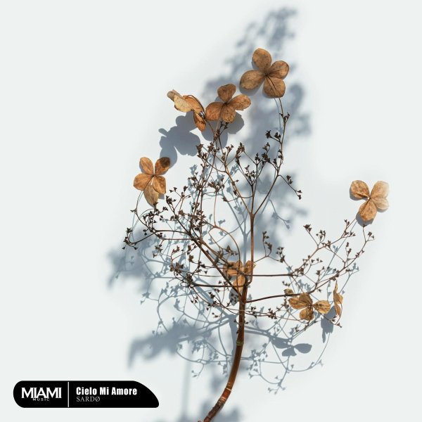 SARDØ - Cielo Mi Amore