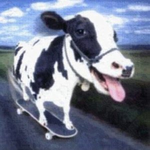 GAZIK 202 - котята и щеночки