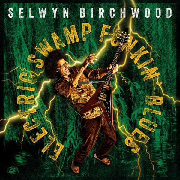 Selwyn Birchwood - The Struggle Is Real