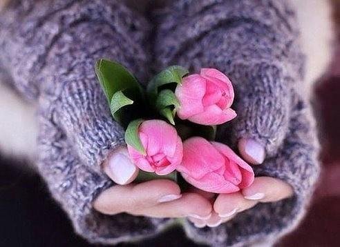 Kinestetika - Melody of My Soul