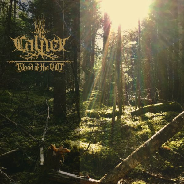 Calnek - Sylvan Fastness