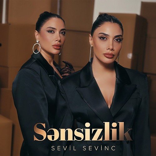 Sevil Sevinc - Sənsizlik