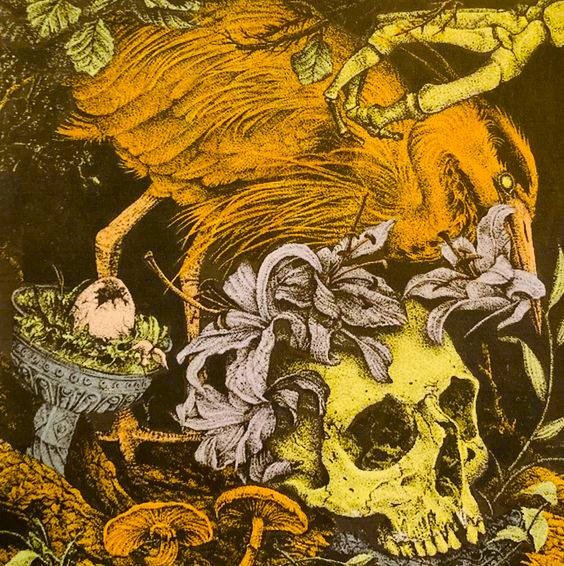 Lofi Fruits Music, Chill Fruits Music - Frozen