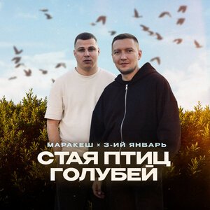 Маракеш/3-ий Январь - Стая птиц голубей