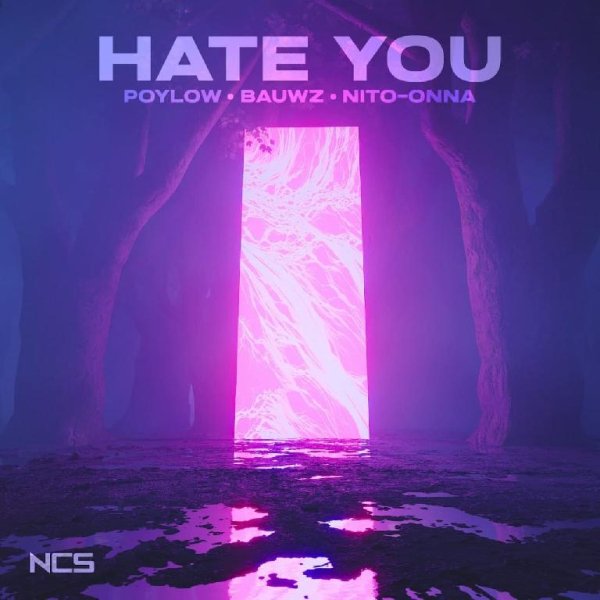 Poylow &amp; BAUWZ, Nito-Onna - Hate You (Original Mix)