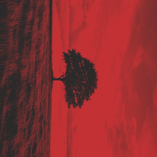 Sunbyonic - Delusive hopes