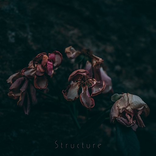 Structure - Lost