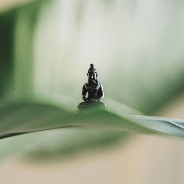 Лонгчепа - 01 Упадеша ратна коша нама, Алевтина Пугач