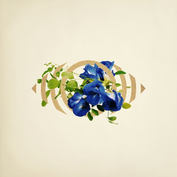 ((( O ))) - PAST LIVES