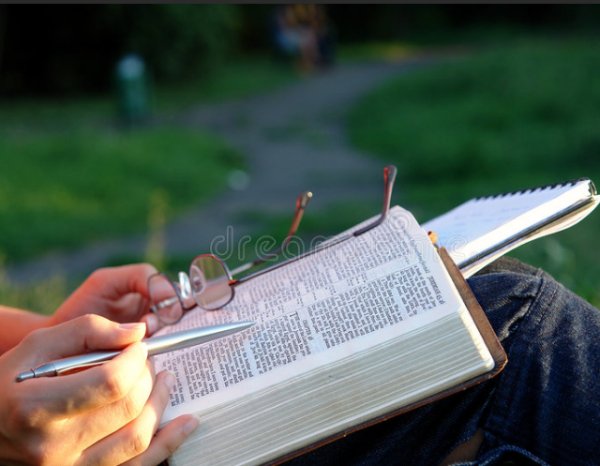 Вениамин Пинкевич - Оружия света