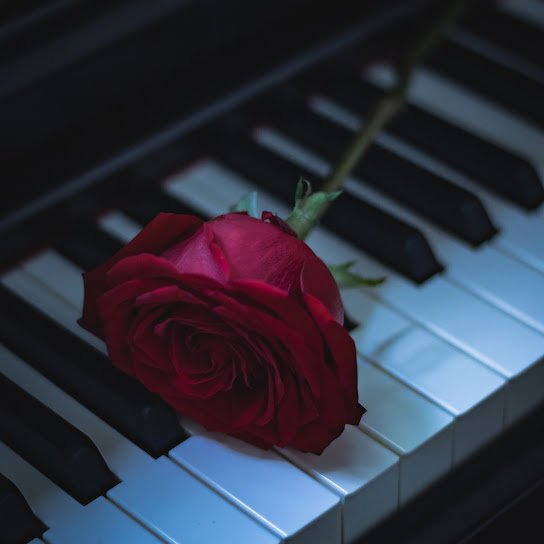 Gibran Alcocer - Idea 7