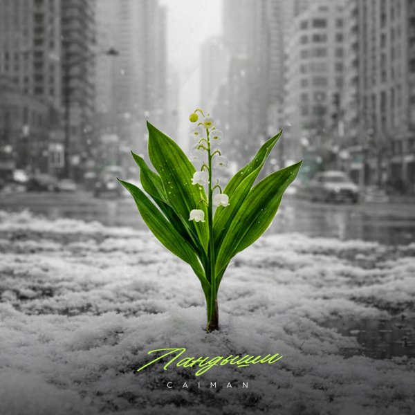 Caiman - Ландыши