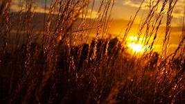  Оркестр Поля Мориа  - Одинокий пастух 