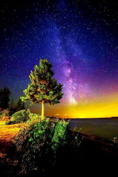 Very Delicate And Beautiful Music Relax Sleep - Без названия