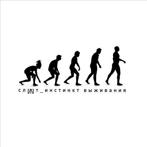 Слот - Норма