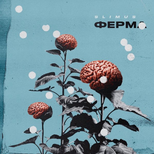 SLIMUS - Храни