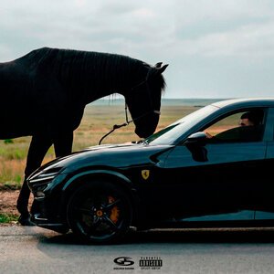 Jakone, MACAN - Purosangue