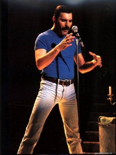 Freddie Mercury - Livin on my own (Denis Repin radio mix)