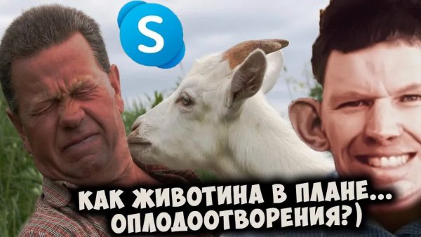 ГЛАД ВАЛАКАС - ЗВОНИТ ПОКУПАТЬ КОЗОЧКУ ДЛЯ ЛЮБОВНЫХ ПОТЕХ