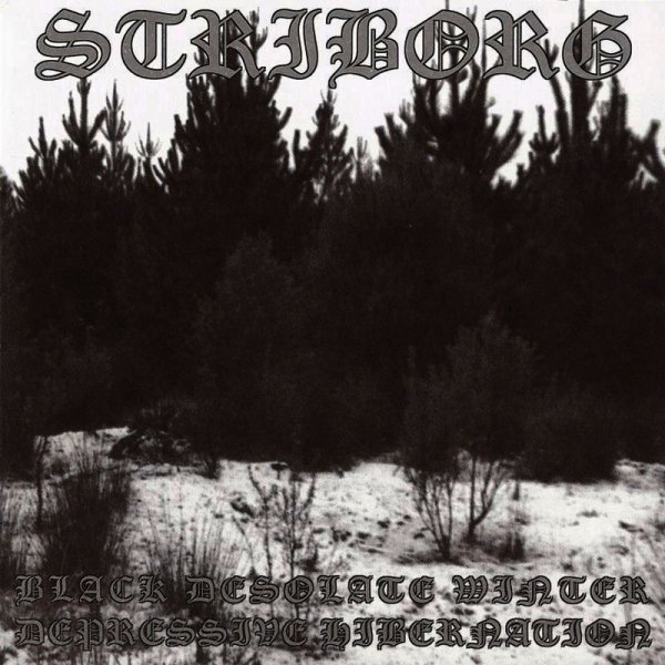 Striborg - The Evil Lurking in the Woods