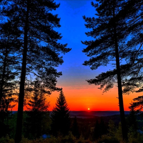 Фаргат Закиров - "Я местный" - стихотворение Дмитрия Черниченко