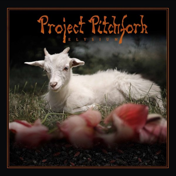 Project Pitchfork - Final Words