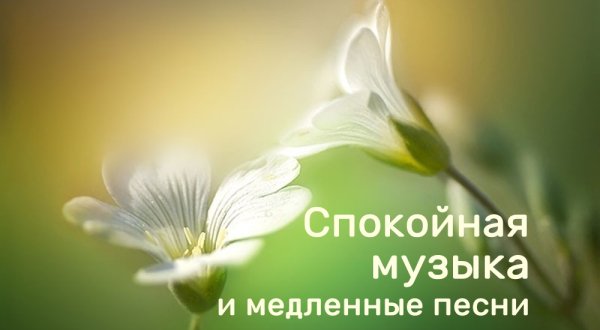 Dim Angelo &amp; Nikko Sunset - Maria Magdalena